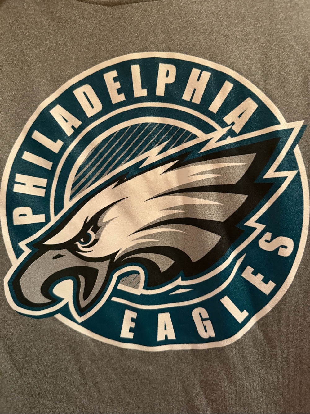 Gray Eagles Hoodie - Official Team Logo.